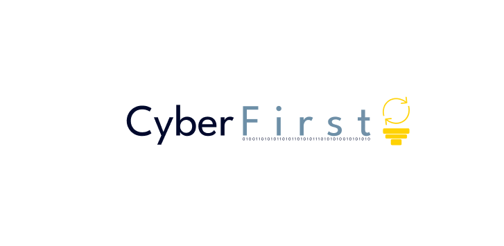 Cyber Empowerment Initiative